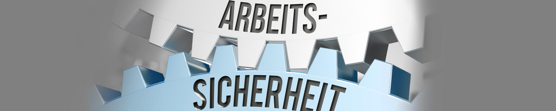 DocSetMinder®-Modul „Arbeits- und Gesundheitsschutzmanagement" DocSetMinder®-Modul „Arbeits- und Gesundheitsschutzmanagement"