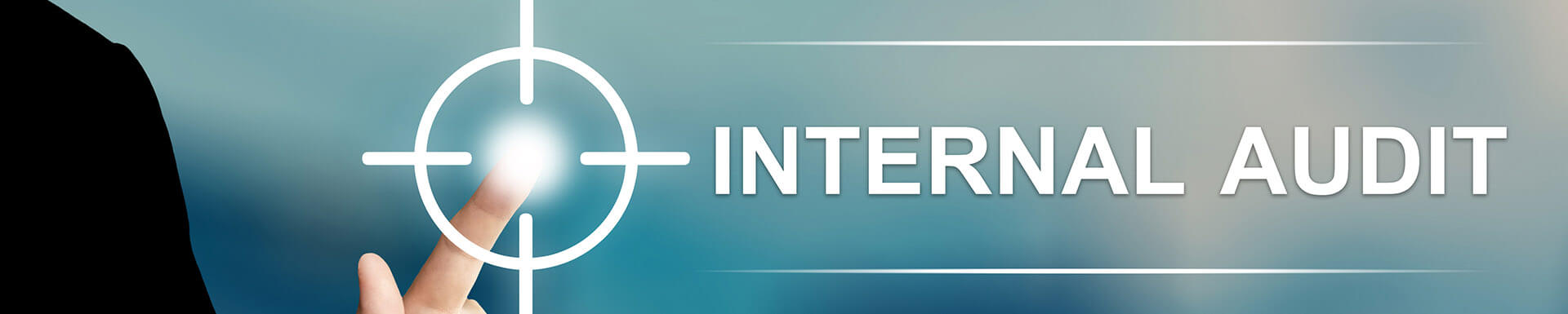 DocSetMinder®-Modul „Internes Kontrollsystem" DocSetMinder®-Modul „Internes Kontrollsystem"