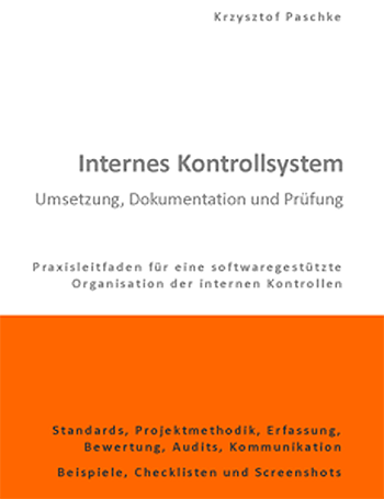 Internes Kontrollsystem - Umsetzung, Dokumentation und Prüfung